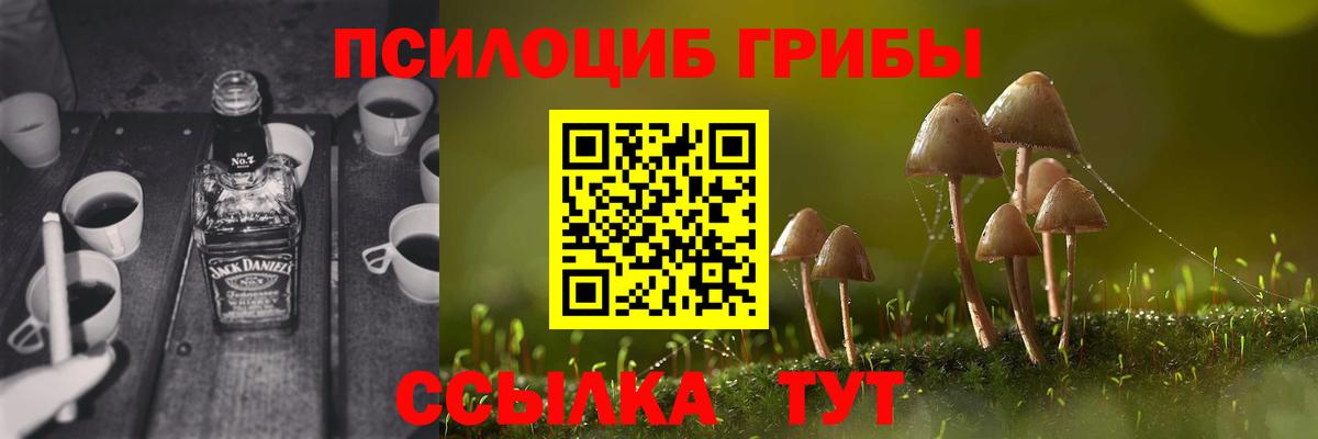 Дербент  Галлюциногенные грибы мицелий  Вход с VPN  как найти наркотики  Галлюциногенные грибы Psilocybine cubensis 